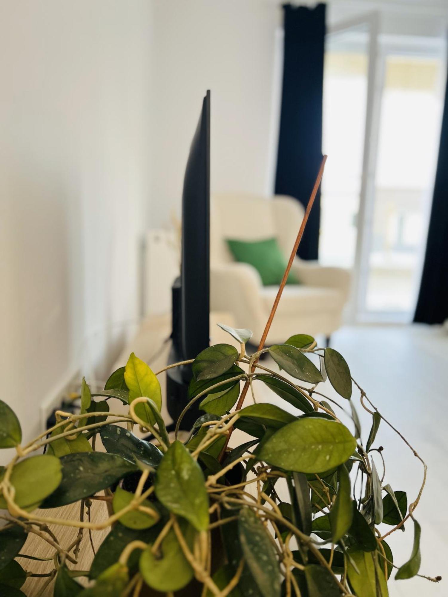 Airport Gardens Loft Lägenhet Otopeni Exteriör bild